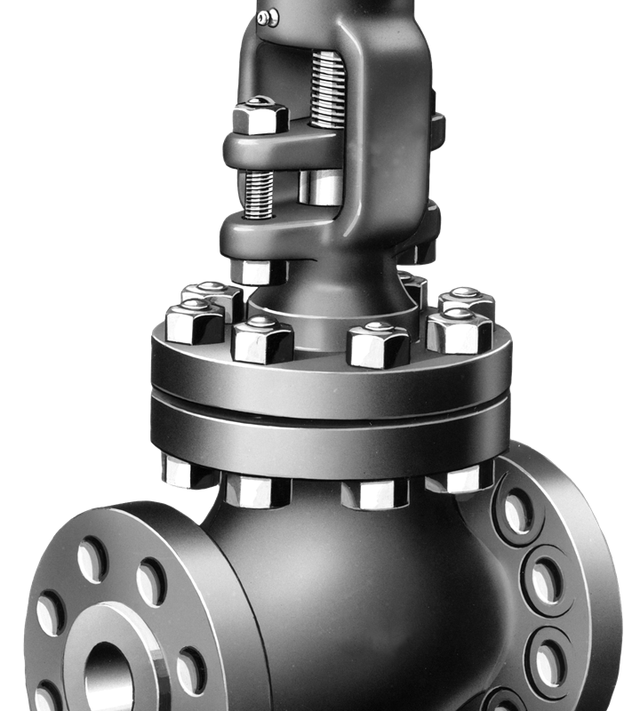 What Is A Globe Valve